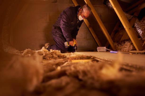 Best Fiberglass Insulation  in Shenandoah, LA